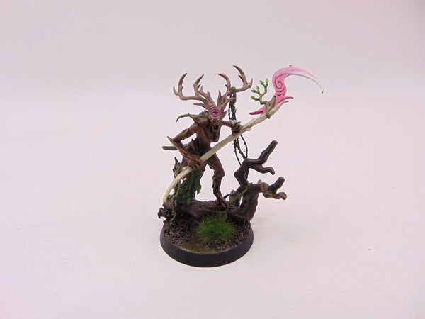 Branchwych