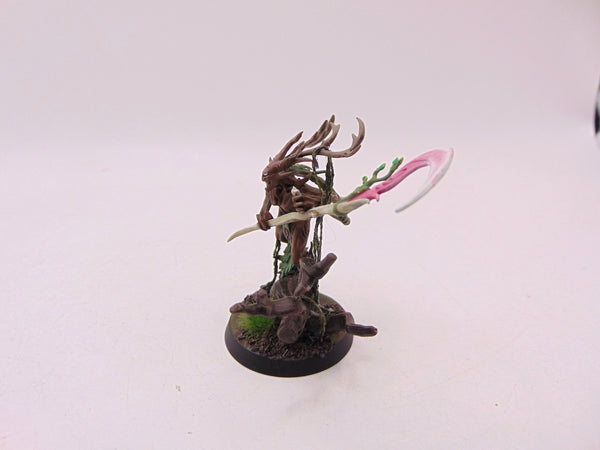 Branchwych
