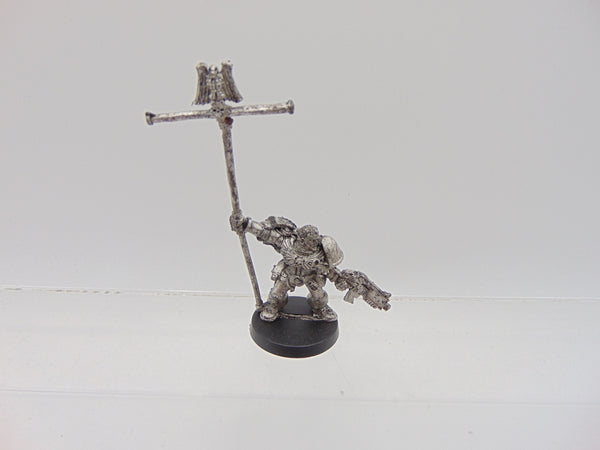 Company Ancient / Standard Bearer