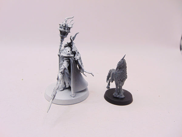 Lord Veritant with Gryph Crow