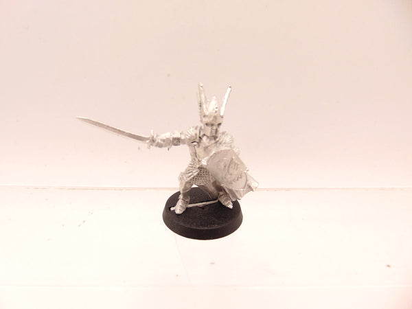 Dol Amroth Captain on foot