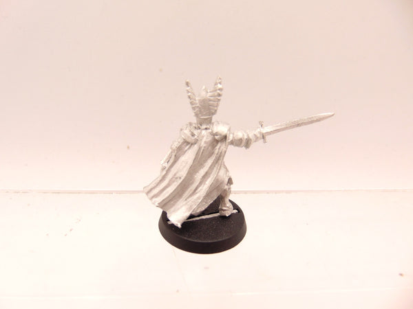 Dol Amroth Captain on foot