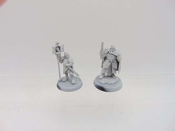 Freeguild Marshal & Relic Envoy