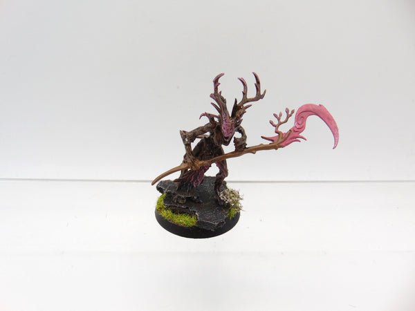 Branchwych
