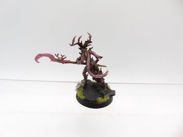 Branchwych