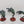 Canoptek Wraiths