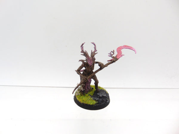 Branchwych