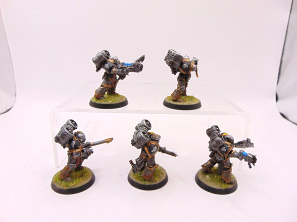 Raptors Conversion