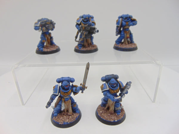 Sternguard Veterans