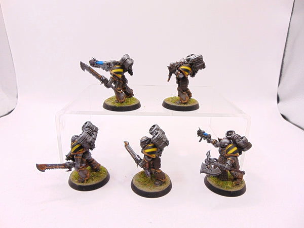 Raptors Conversion
