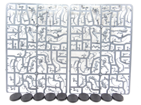 Arco Flagellants