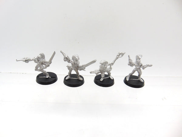 Harlequin Troupe