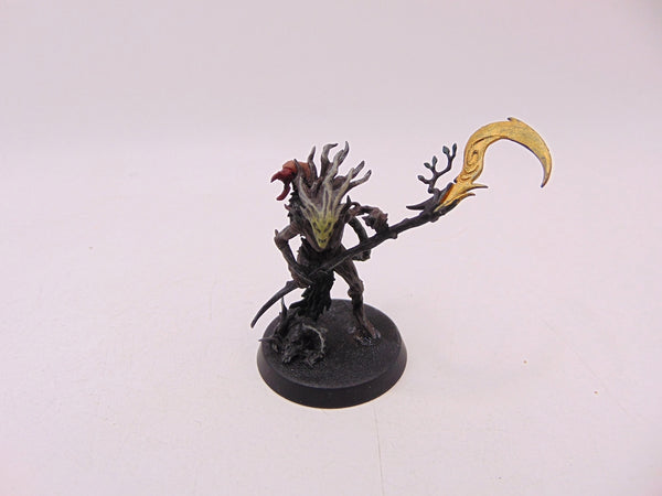 Branchwych