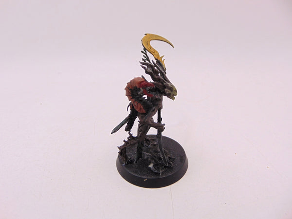 Branchwych