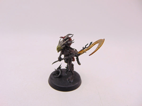 Branchwych