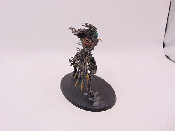 Drycha Hamadreth