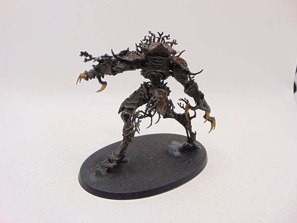 Drycha Hamadreth