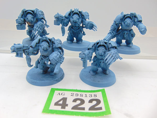 Wolf Guard Terminators