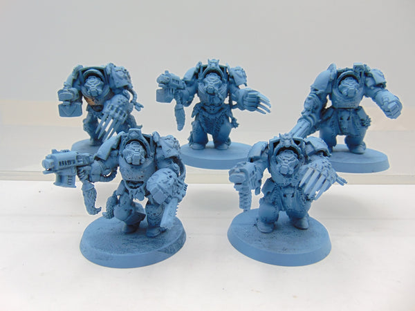 Wolf Guard Terminators