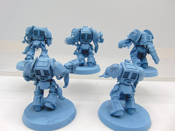 Wolf Guard Terminators