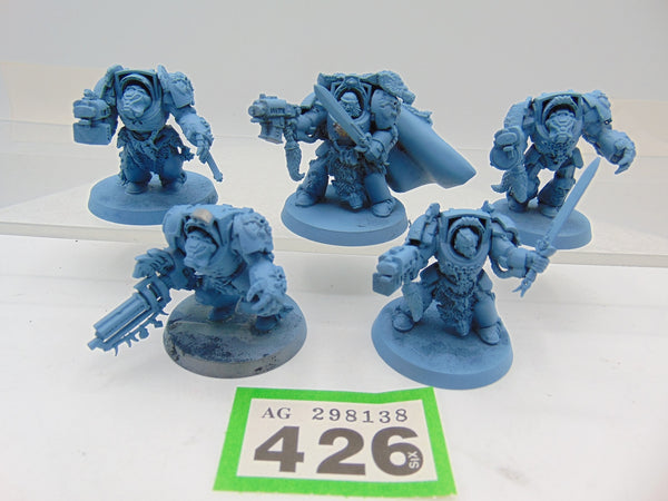 Wolf Guard Terminators