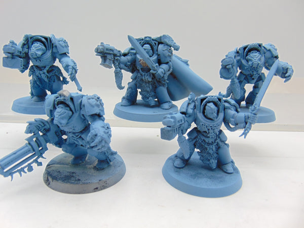 Wolf Guard Terminators