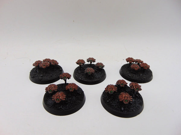 Canoptek Scarab Swarms