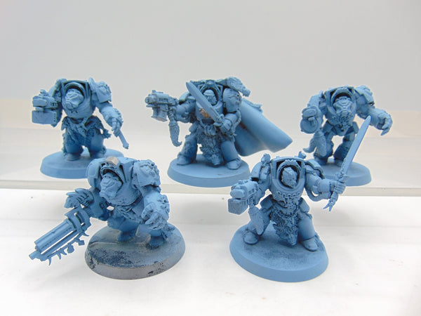 Wolf Guard Terminators