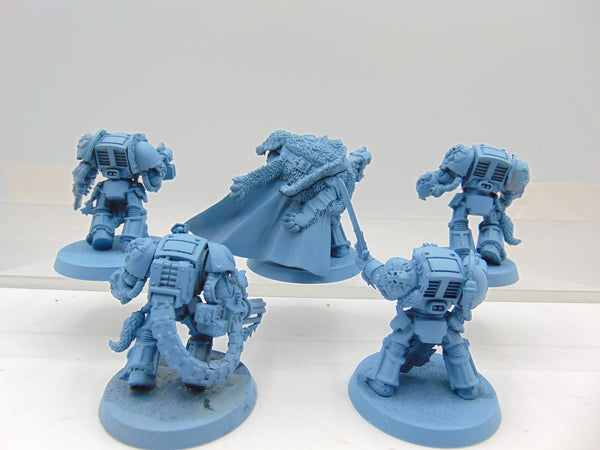 Wolf Guard Terminators