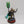 Imotekh the Stormlord