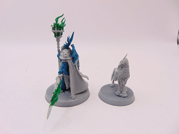 Lord Veritant with Gryph Crow