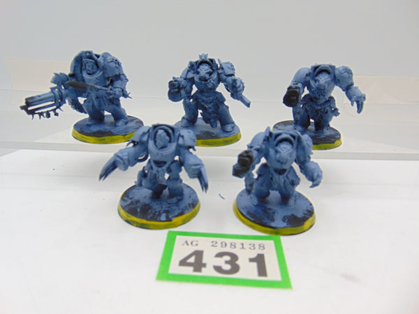 Wolf Guard Terminators