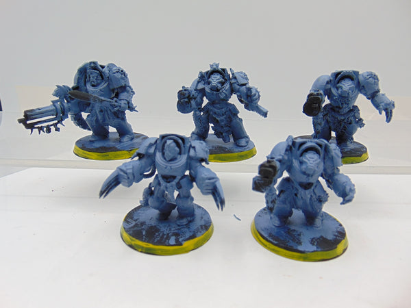 Wolf Guard Terminators