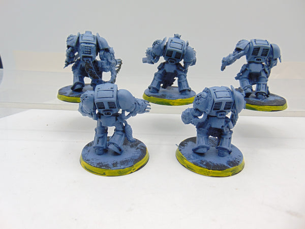 Wolf Guard Terminators