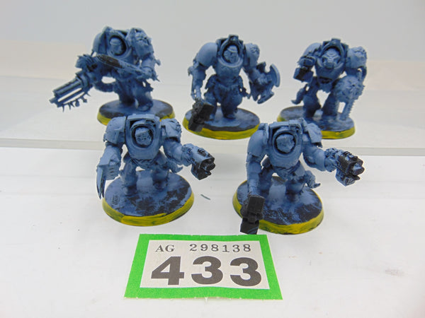 Wolf Guard Terminators