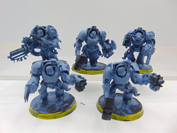 Wolf Guard Terminators