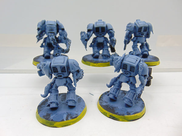 Wolf Guard Terminators