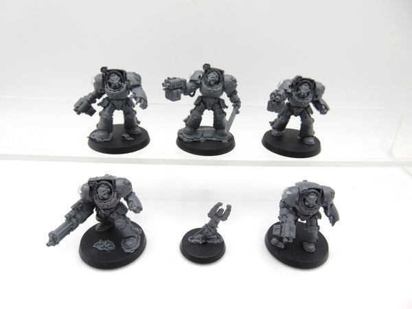 Terminator Squad