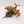 Stormhawk Interceptor
