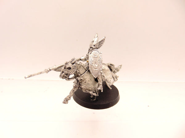 Swan Knight of Dol Amroth