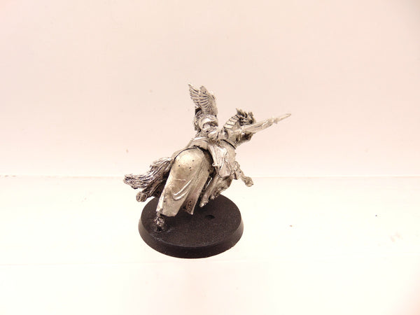 Swan Knight of Dol Amroth