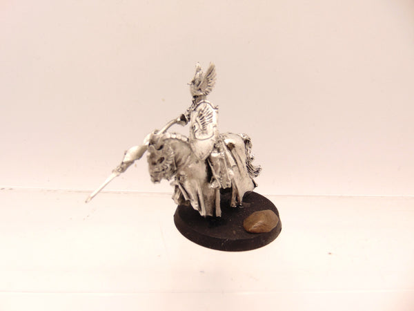 Swan Knight of Dol Amroth