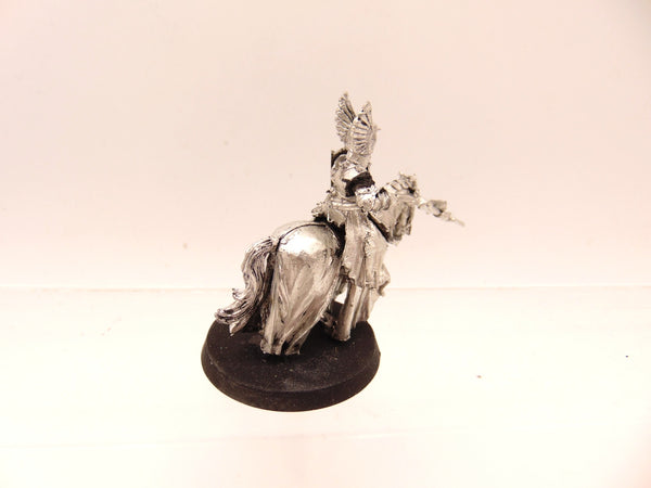 Swan Knight of Dol Amroth
