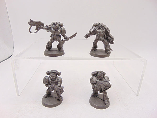 Tyrannic War Veterans