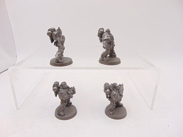 Tyrannic War Veterans