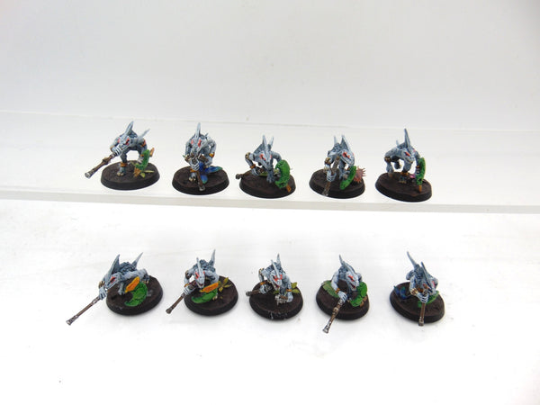 Skinks