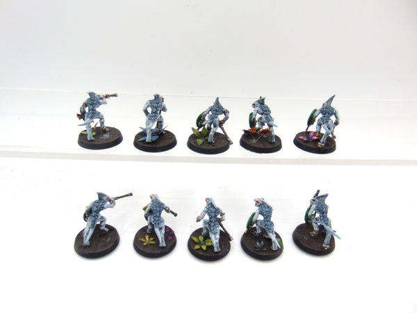Skinks