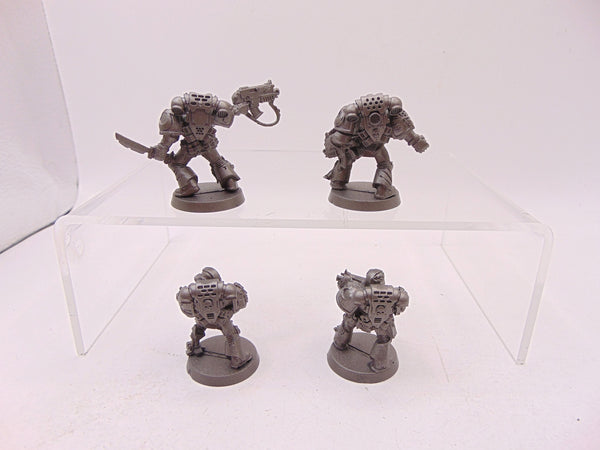 Tyrannic War Veterans