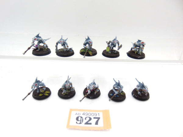 Skinks