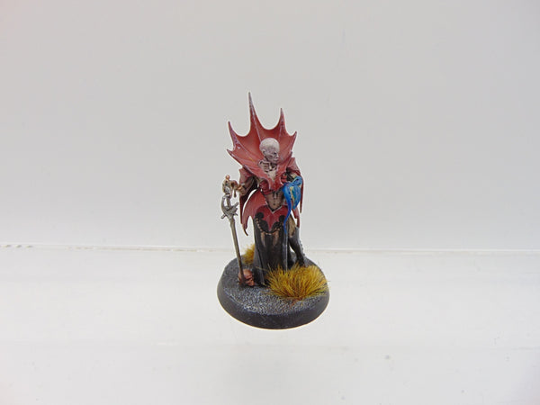 Anasta Malkorion Vampire Lord